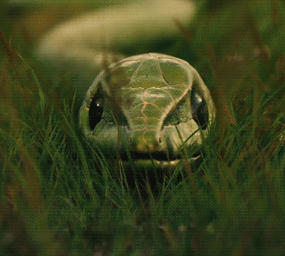 tumblr_naywowstWd1tvfupvo1_400.gif
