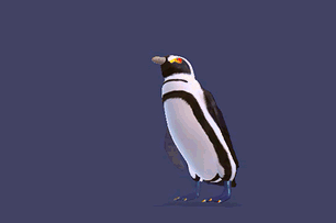 penguin.gif