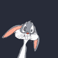 bugs.gif