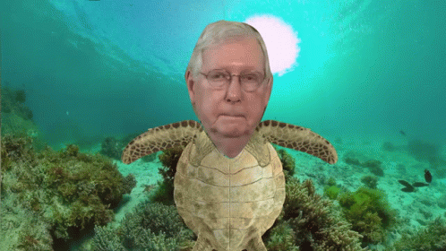 mitch-mcconnell.gif