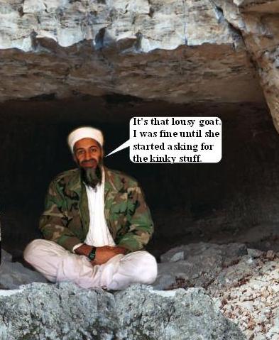 laden-goat.JPG