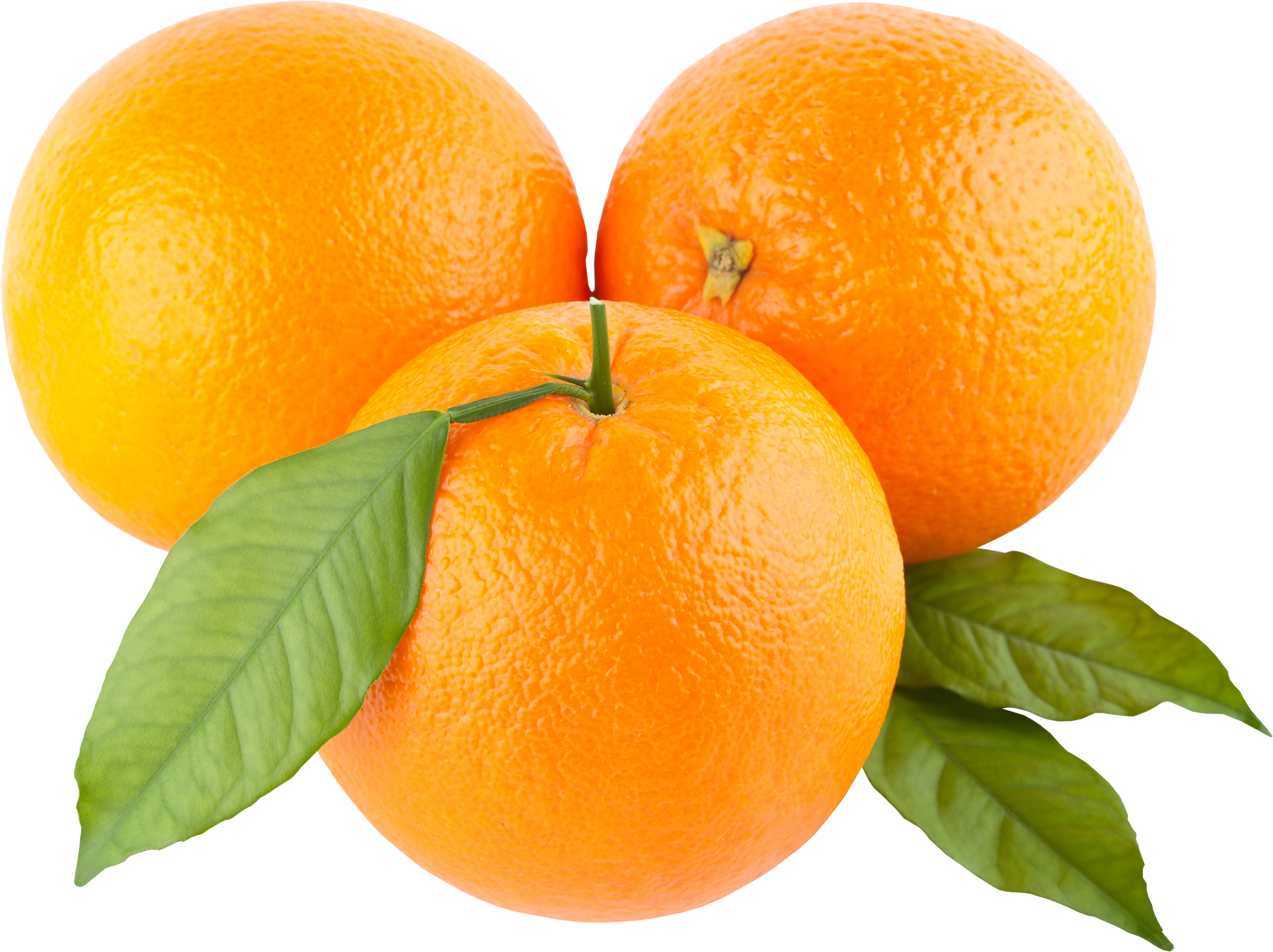 valencia.png