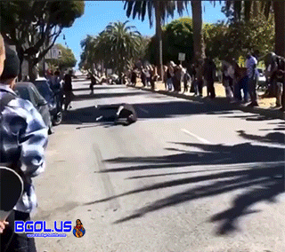 u7r7xX.gif