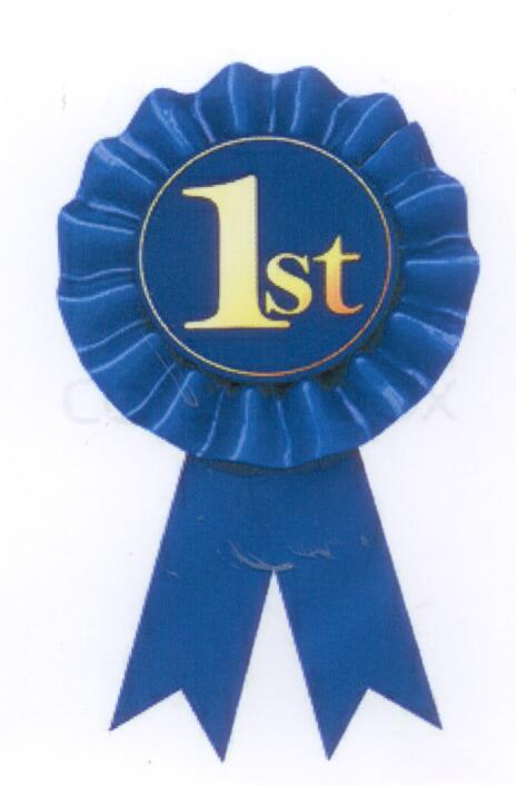 blue-ribbon-001.jpg