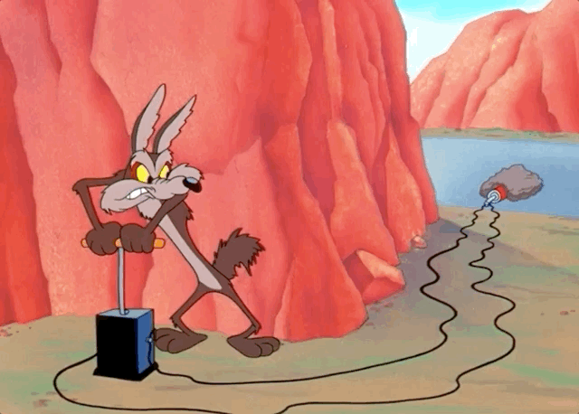 coyote.gif