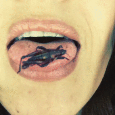 Salma-Hayek-Eats-Cricket.gif