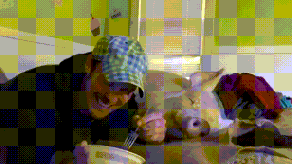 daily_gifdump_1091_04.gif