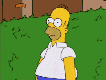 tumblr_lkd8g9ntEm1qc82gi.gif