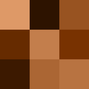 Color_icon_brown.png