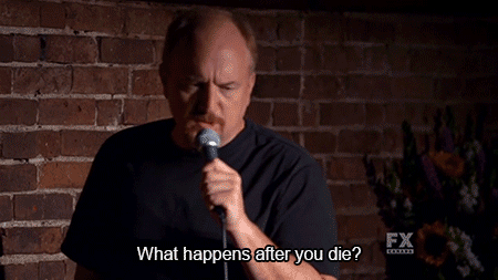 tumblr_n5663imbHs1sdwu5do1_500.gif