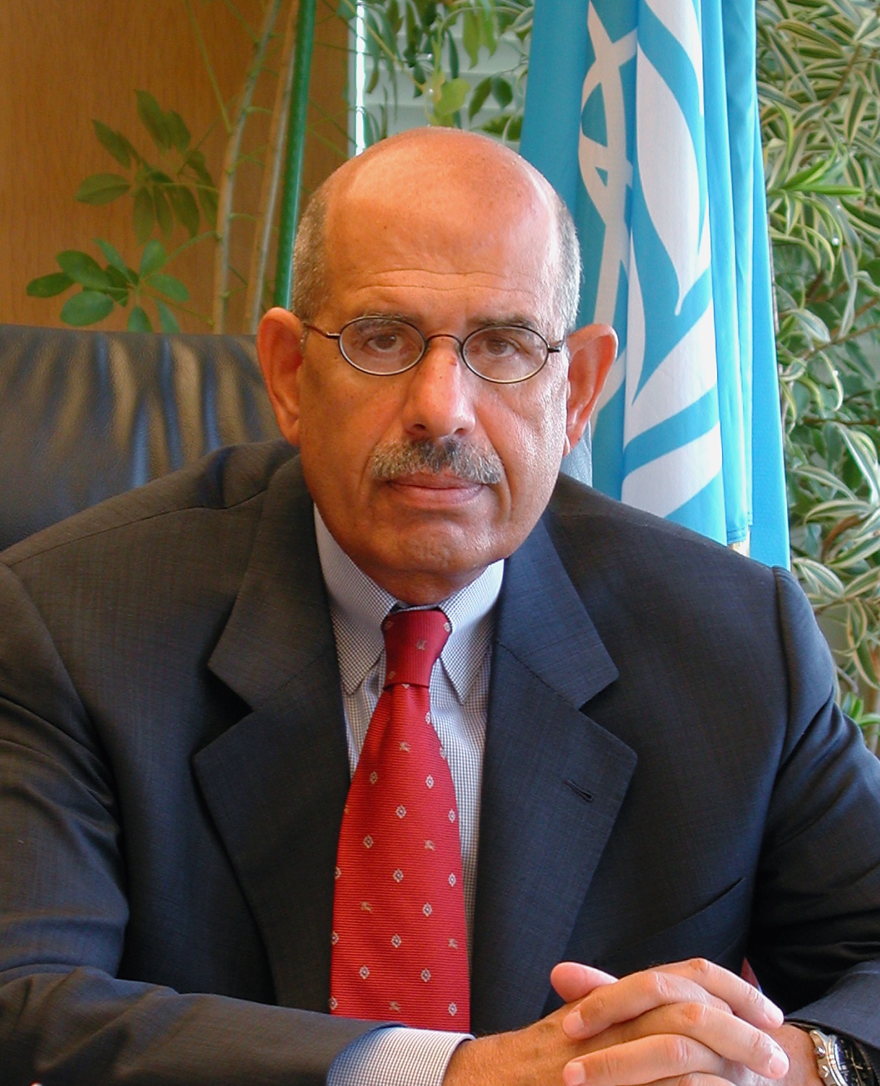 Mohamed_ElBaradei.jpg