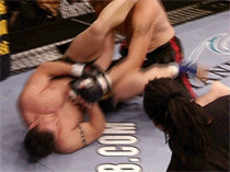 frankmir.gif
