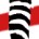 raccoonmedicine.com