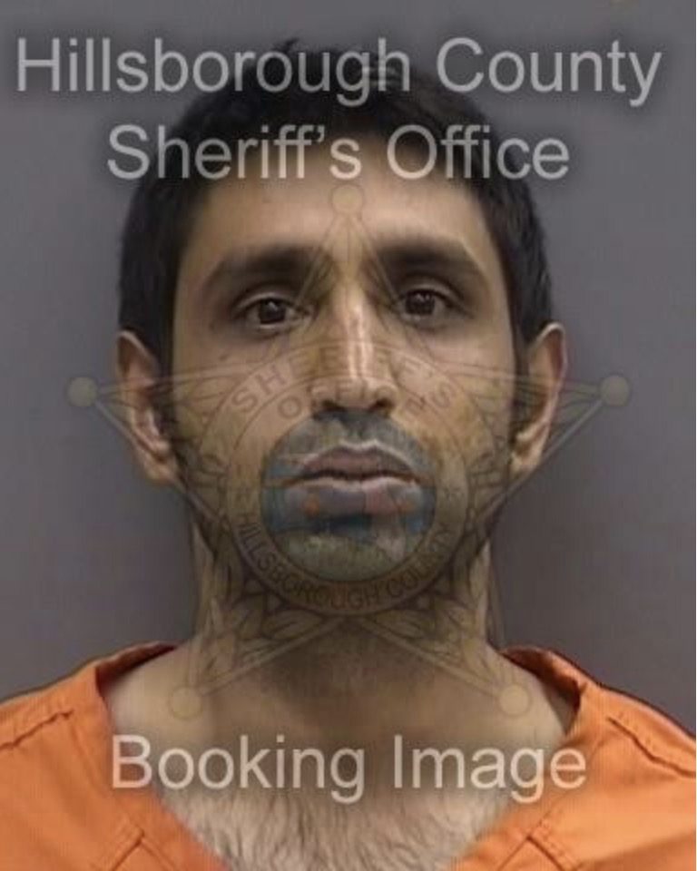 Mugshot of Shail Patel, 29