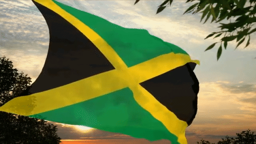 jmcflag-4.gif