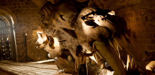 DragonSkull.jpg