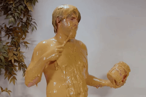 giphy_s.gif