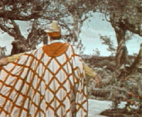 d8a3f7778037fe028dee6cc69a42005f_w200.gif