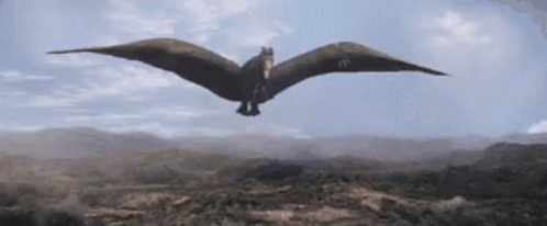 rodan-godzilla.gif