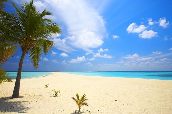 maldives_endless_beach.jpg