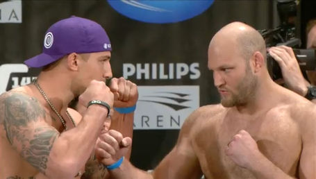 Schaub-Rothwell_SDW_medium.jpg