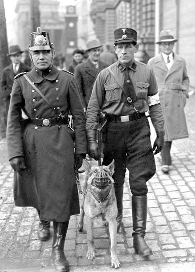 dog-patrol.jpg