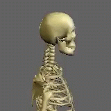 4be74cc11e1e2f4b431e8c98ac5421b4.gif