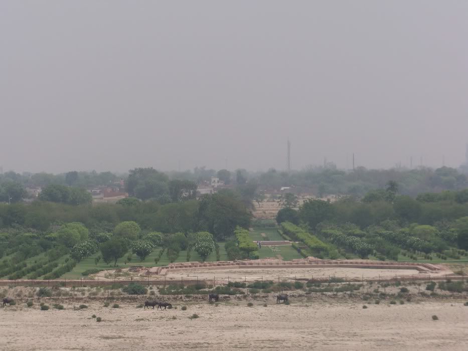 TajMahal21.jpg
