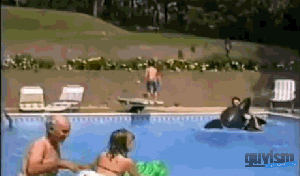 tumblr_mep9la8zKi1r1p0yso1_400.gif