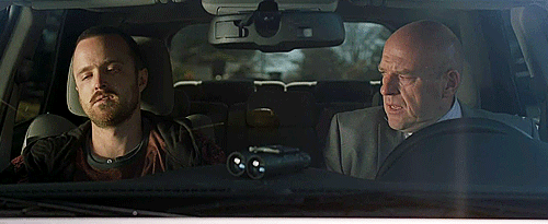 tumblr_msh7nrLVuu1qg2nrdo1_r1_500.gif