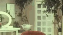 rufus-thomas-jv-g.gif