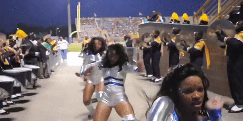 HBCU_Cold_Steel_Chicks_2.gif