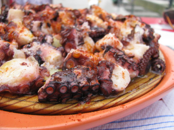 Smpulpogallego0001.JPG