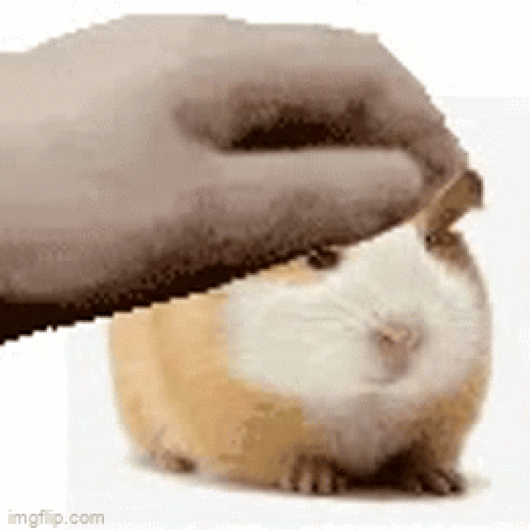 755