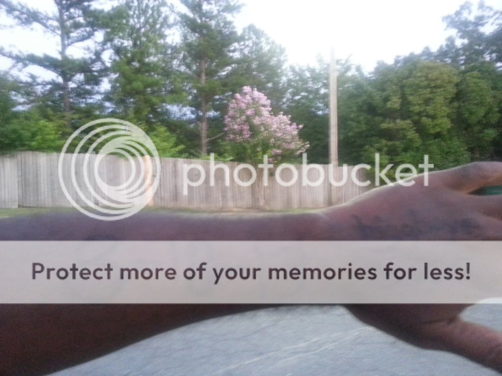 20130818_200632_zps74e2542f.jpg
