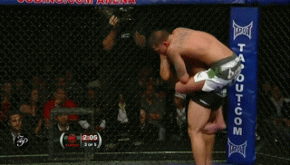 9.gif