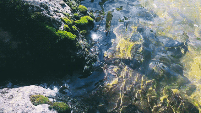 tumblr_ovw5zvVWhR1uvsi7jo3_1280.gif
