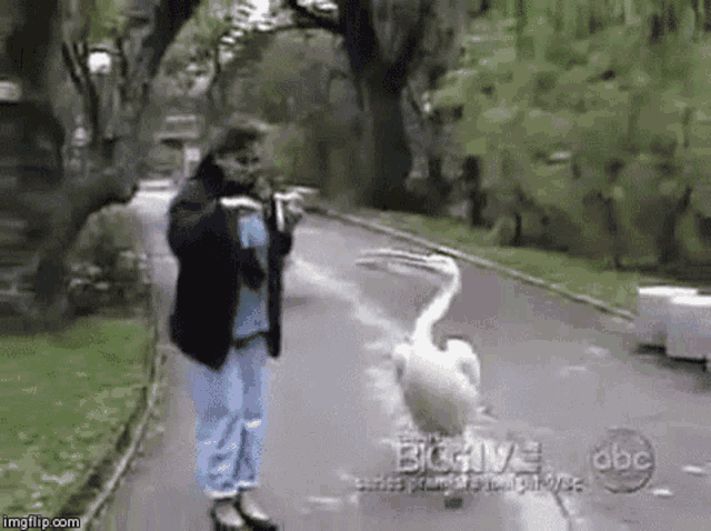 pelican-angry.gif