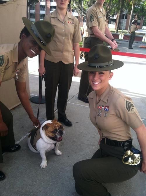 53c508e12898b86da33199898ceaa95f--the-marine-marine-corps.jpg