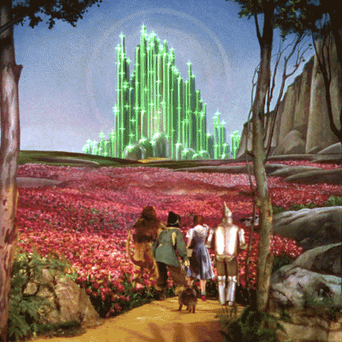 tumblr_mtkcbqSy791r3idioo1_500.gif