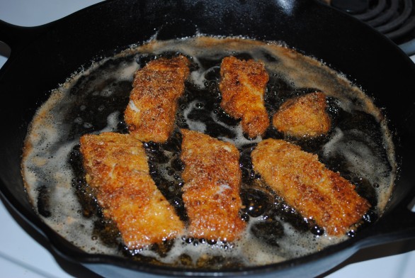 catfish2-586x392.jpg