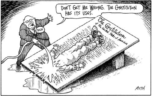 cheney-constit-uses.jpg