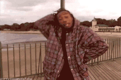 giphy.gif