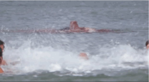 Jaws.gif