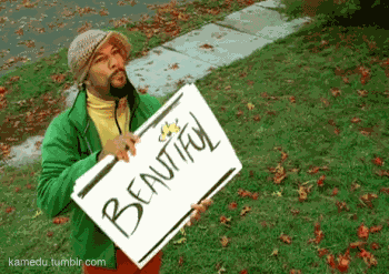 tumblr_m0etebohA31roe89ao1_400.gif