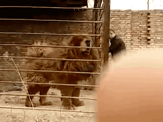 tumblr_ofkhc5BLU61s02vreo2_400.gif