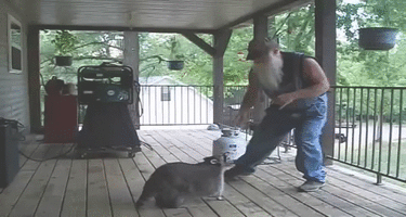 coon-and-hillbilly-dancing.gif