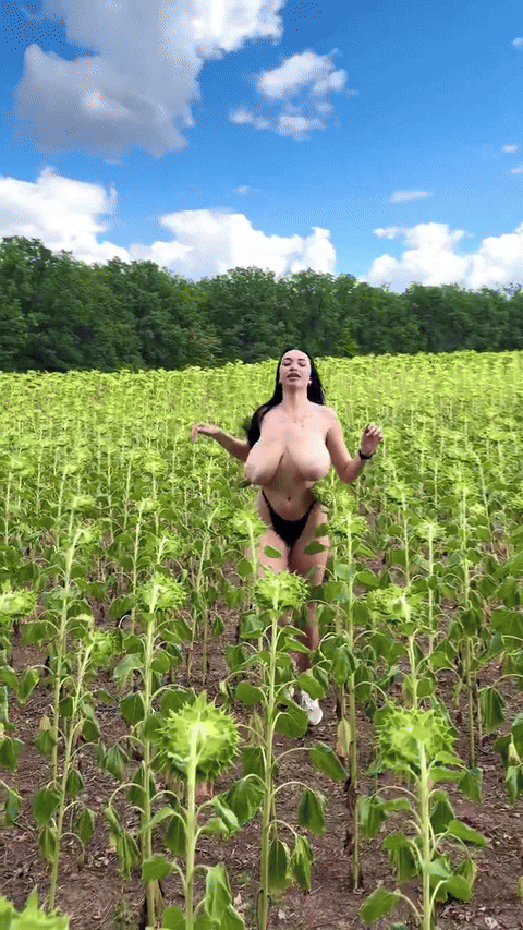 8dg72ttypetf1.gif