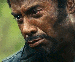 D5q5.gif