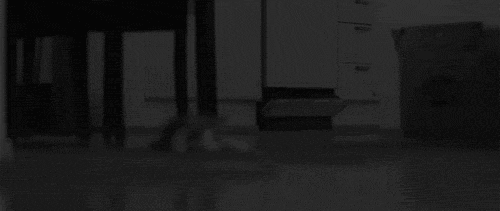 giphy.gif